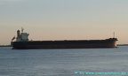 Bulk Carrier
