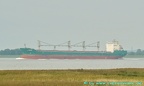 Bulk Carrier